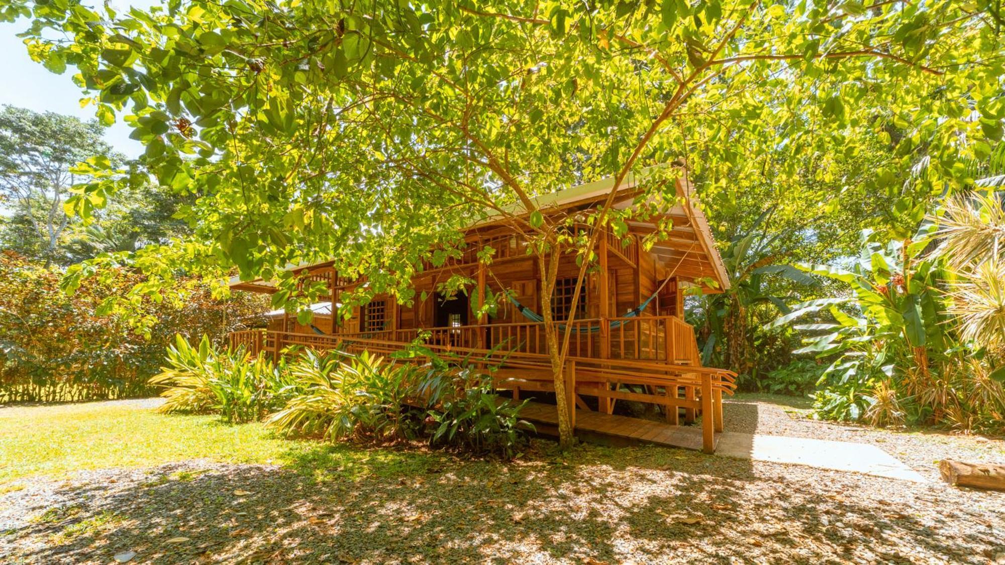 Casa Viva Lodge Puerto Viejo de Talamanca Екстер'єр фото