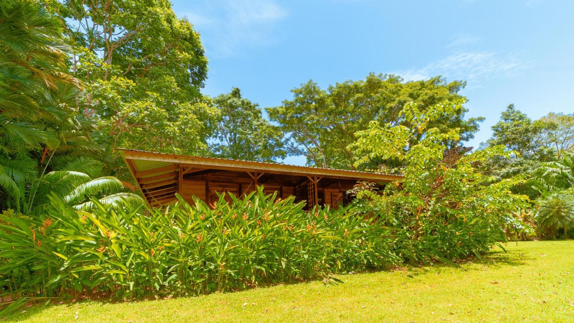 Casa Viva Lodge Puerto Viejo de Talamanca Екстер'єр фото