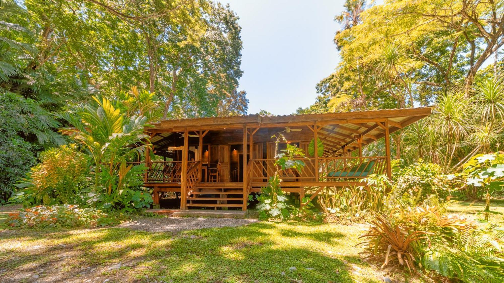 Casa Viva Lodge Puerto Viejo de Talamanca Екстер'єр фото