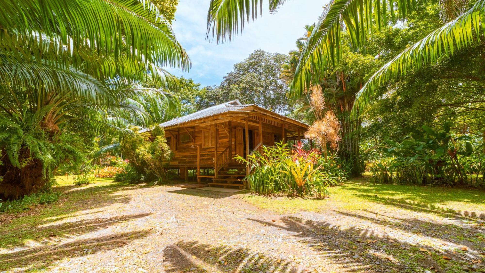 Casa Viva Lodge Puerto Viejo de Talamanca Екстер'єр фото