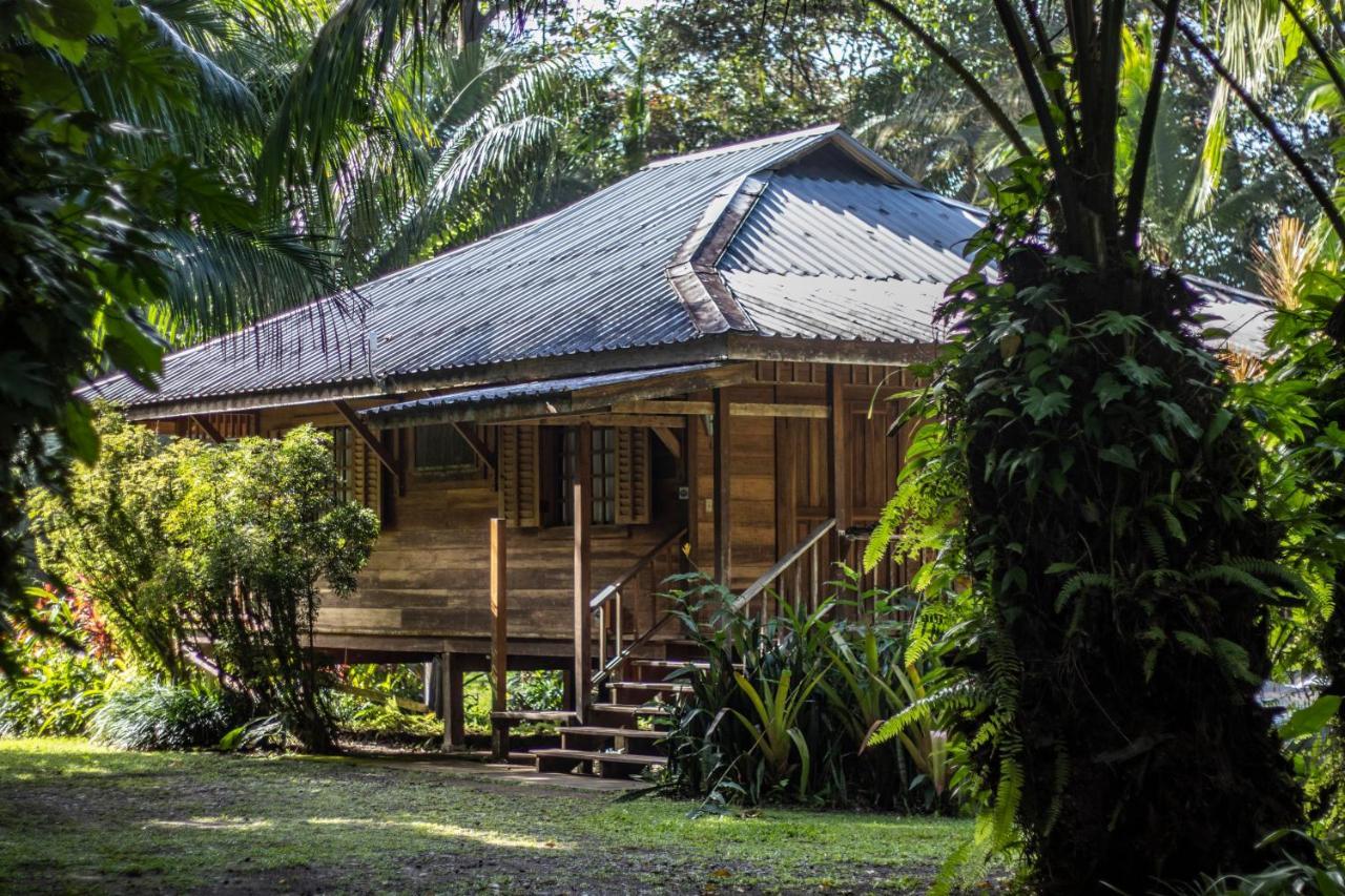 Casa Viva Lodge Puerto Viejo de Talamanca Екстер'єр фото