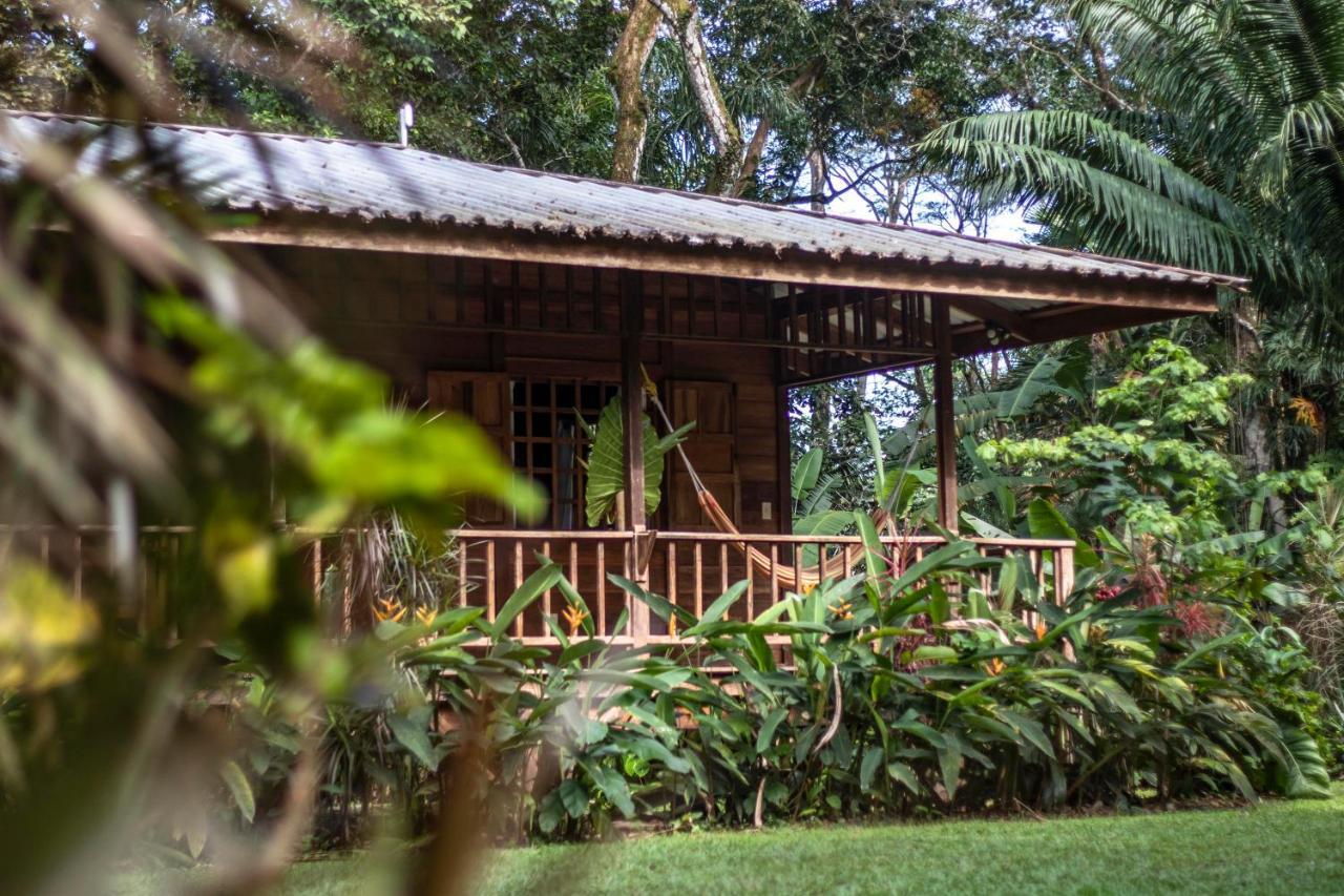 Casa Viva Lodge Puerto Viejo de Talamanca Екстер'єр фото