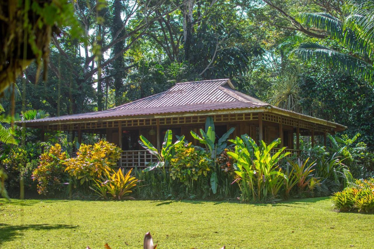 Casa Viva Lodge Puerto Viejo de Talamanca Екстер'єр фото