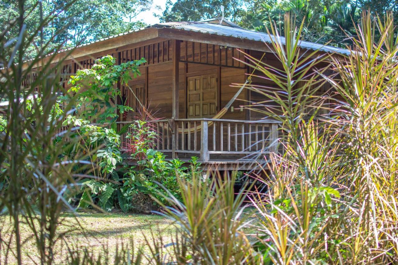Casa Viva Lodge Puerto Viejo de Talamanca Екстер'єр фото