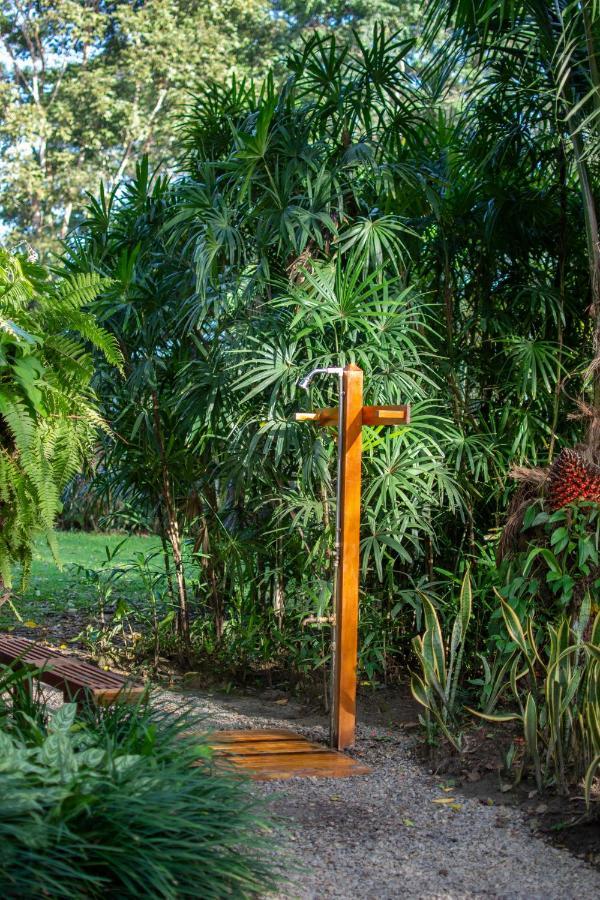 Casa Viva Lodge Puerto Viejo de Talamanca Екстер'єр фото